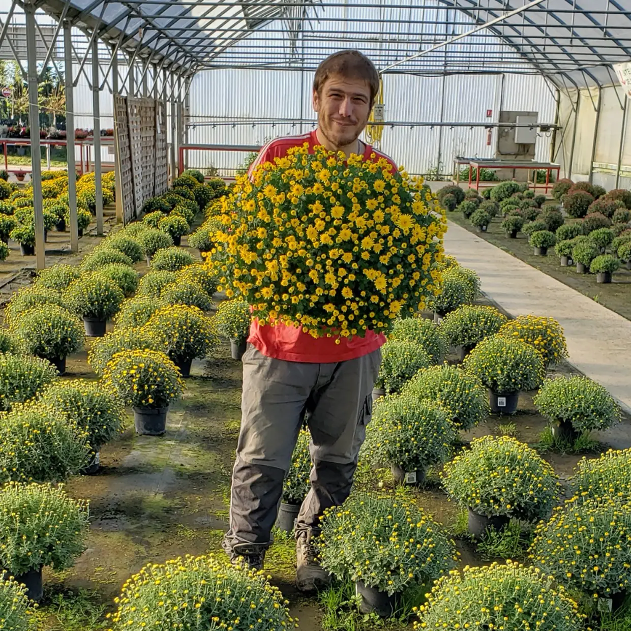 Photo d'un salarié dans les serres l'ADAPEI de la Meuse